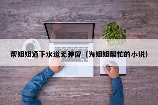 帮姐姐通下水道无弹窗（为姐姐帮忙的小说）