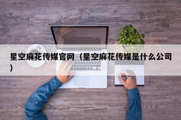 星空麻花传媒官网（星空麻花传媒是什么公司）